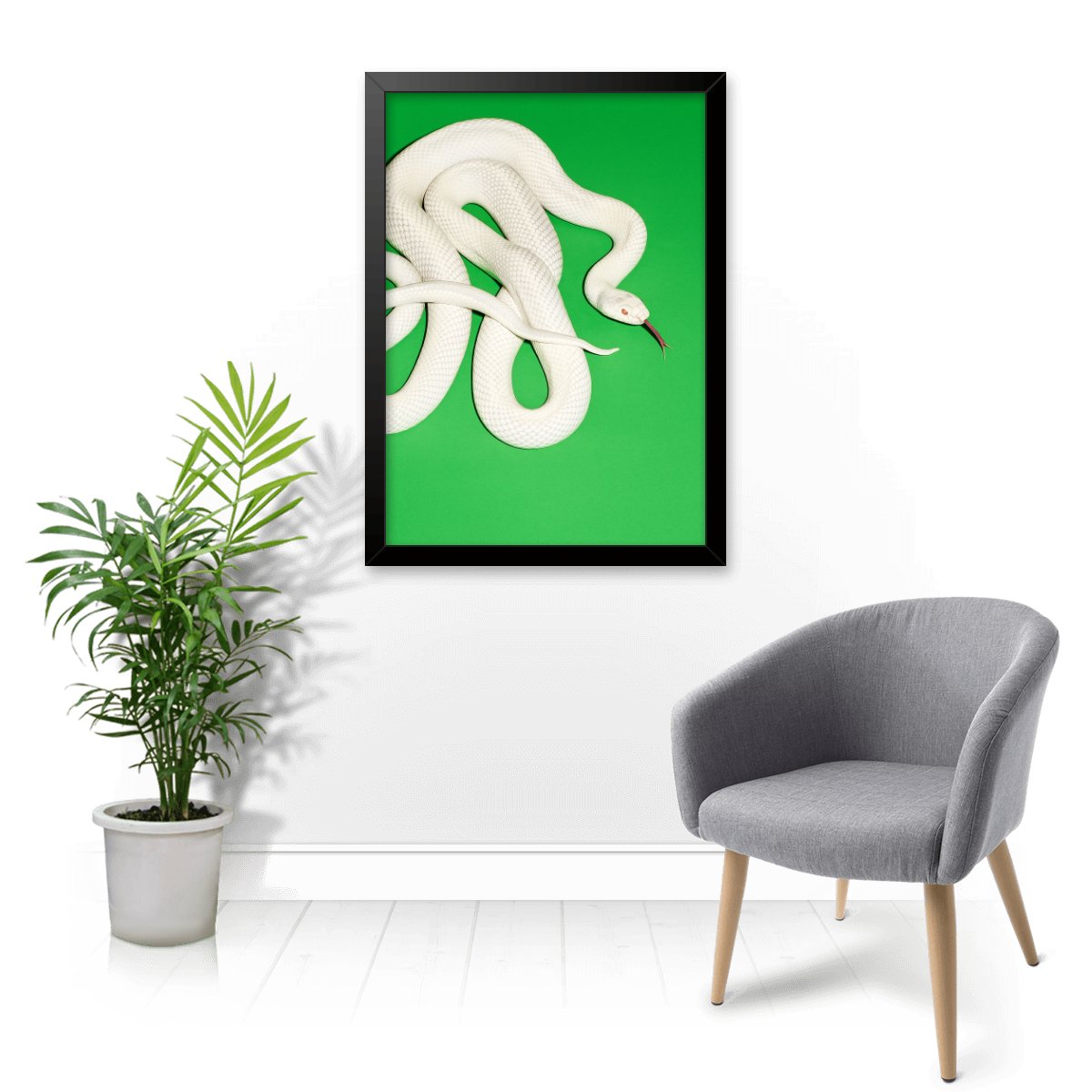 Quadro e poster Private Music - Deftones - Quadrorama