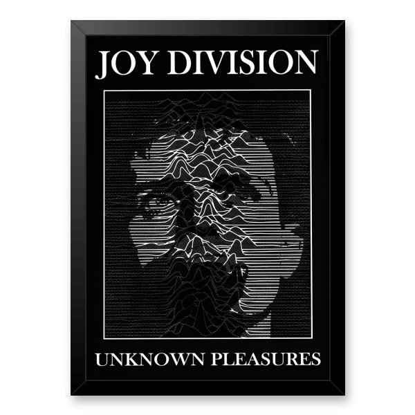 Quadro e poster Joy Division - Unknown Pleasures - Quadrorama